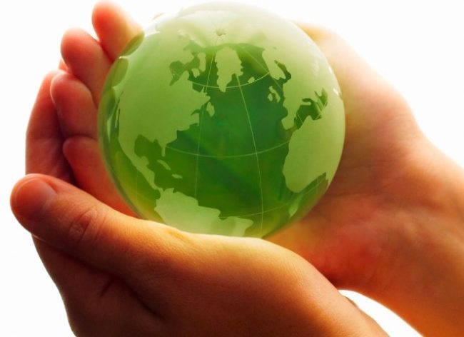 ecologia