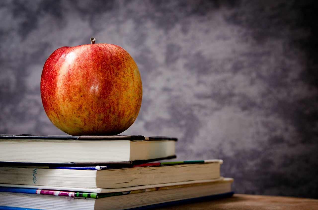 Só não seremos massa de manipulação se a educação fizer parte de nosso processo normal