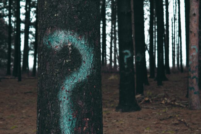 evan-dennis-i–IN3cvEjg-unsplash